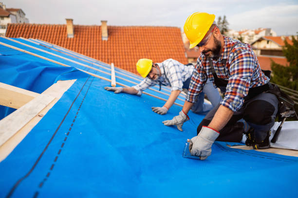 Best Emergency Roof Repair Services  in Nutter Fort, WV