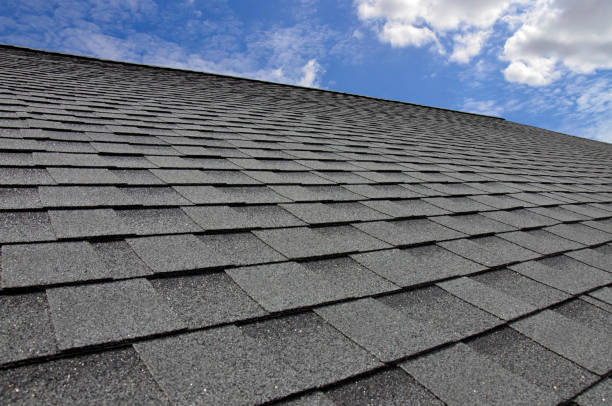 Best Gutter Installation and Repair  in Nutter Fort, WV