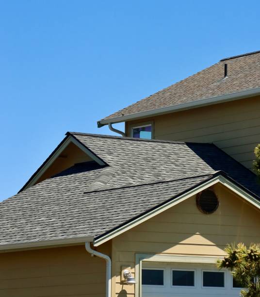 Best Metal Roofing Installation  in Nutter Fort, WV